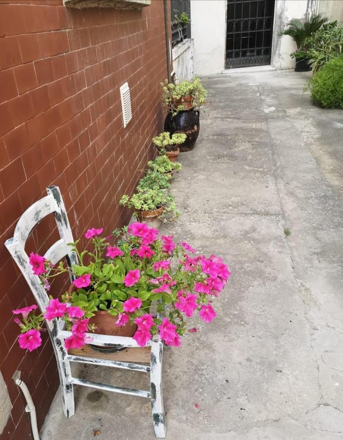 Residenza La Gallinella 科马基奥 外观 照片